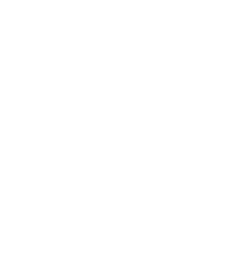 Tempo MX